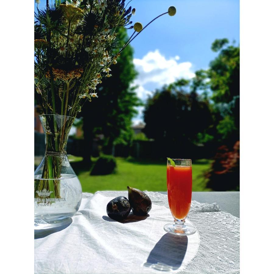Villa Rustico Viboldone Екстериор снимка